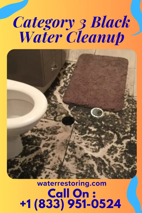 Category 3 Black Water Cleanup in Randolph, TN