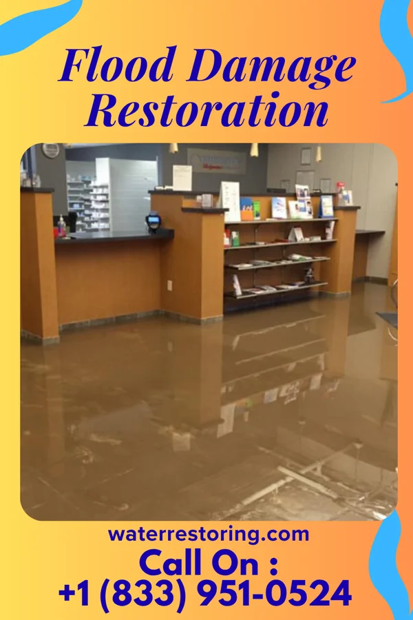 Flood Damage Restoration in Randolph, TN