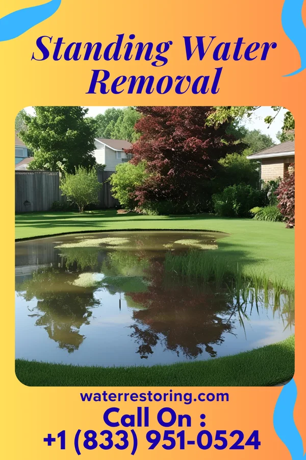Standing Water Removal in Randolph, TN